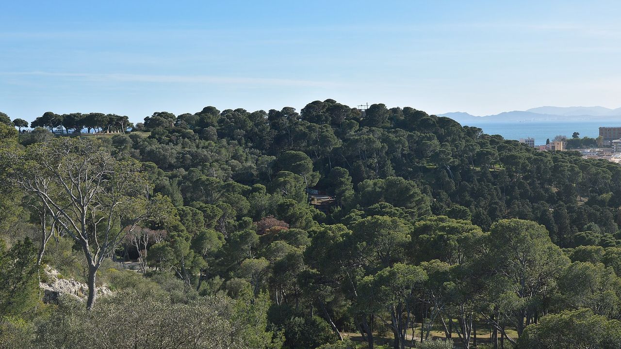 Area cani del Parco di Monte Urpinu a Cagliari