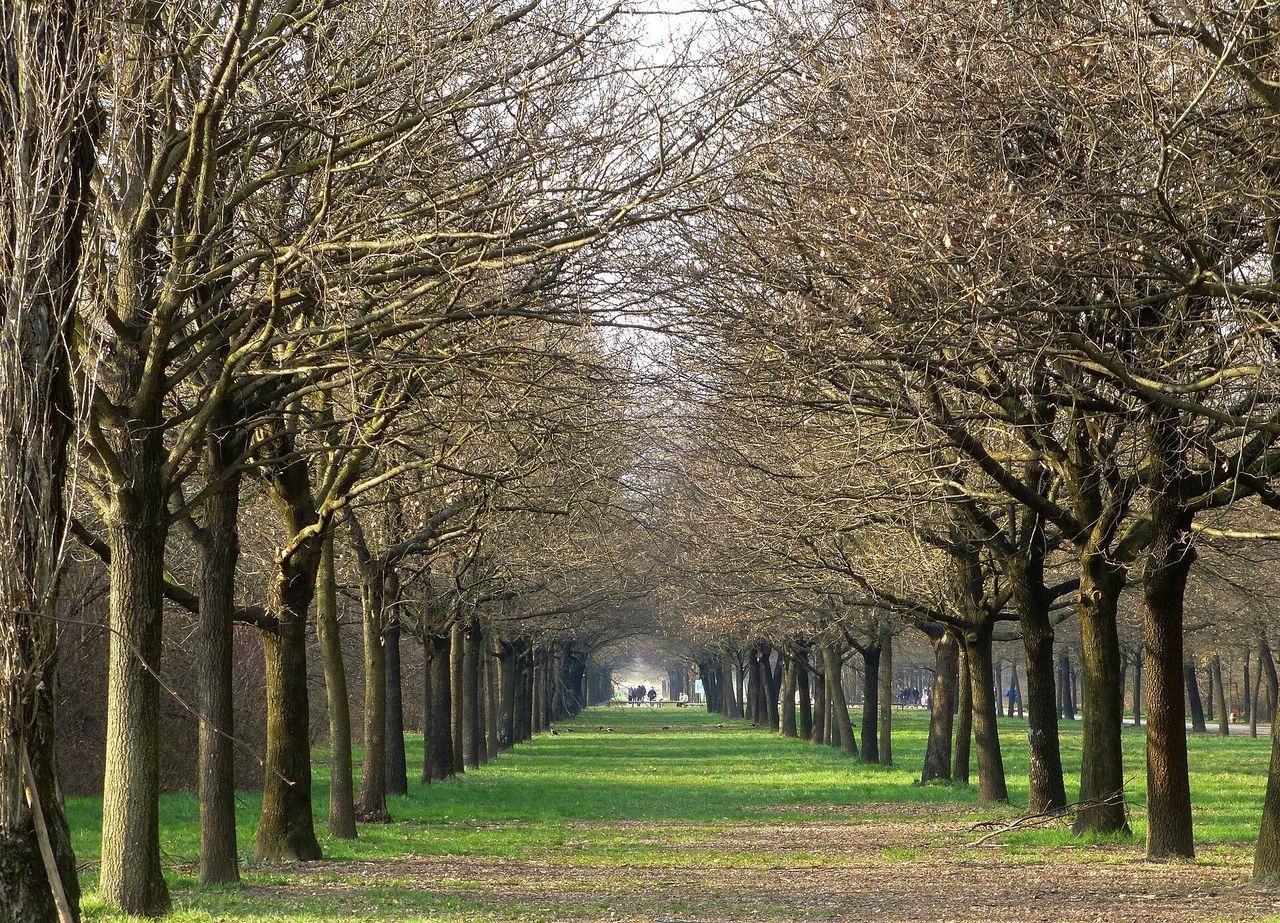 Area cani – parco Nord a Milano