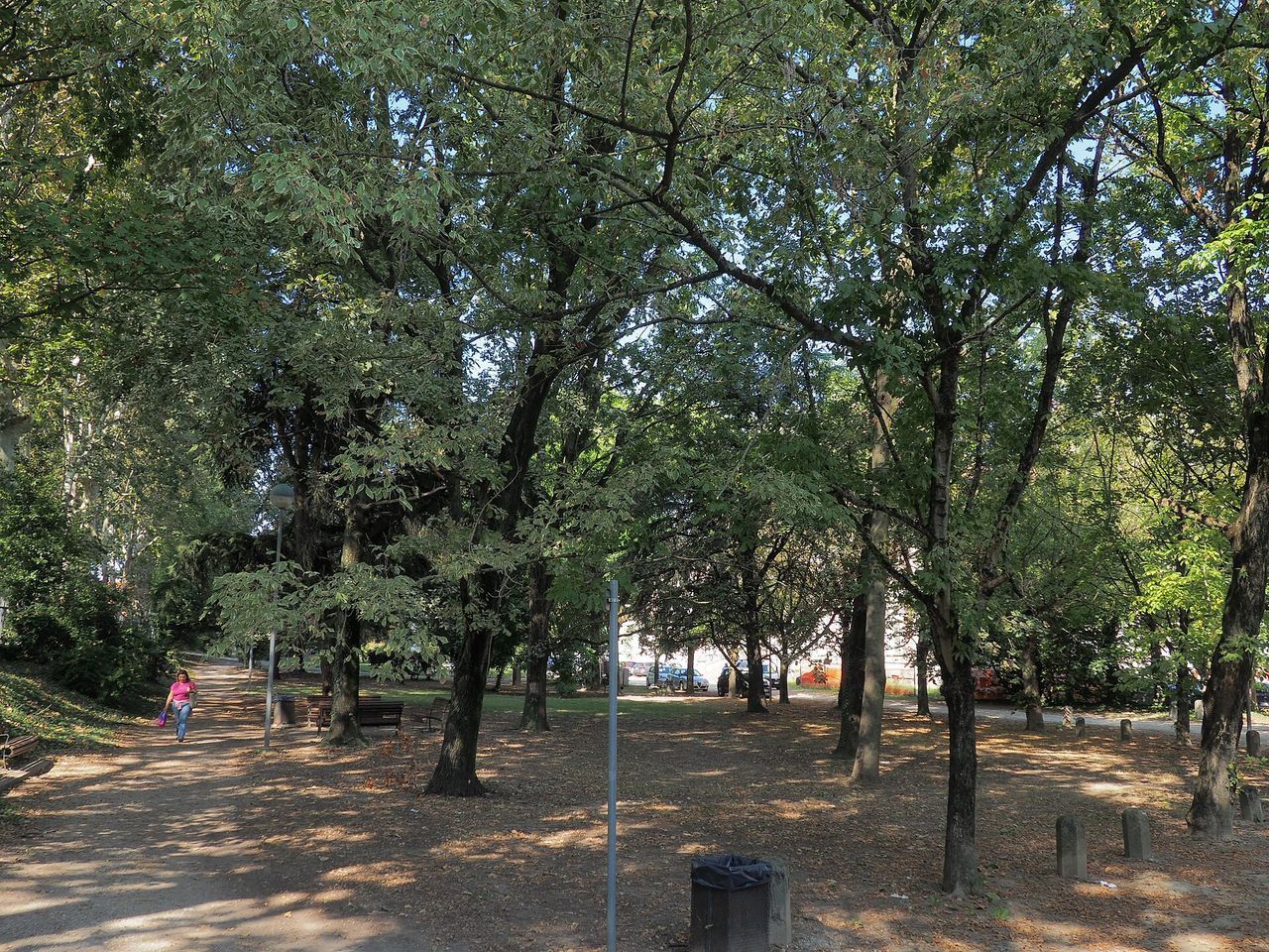 Area cani – Rovigo a Rovigo