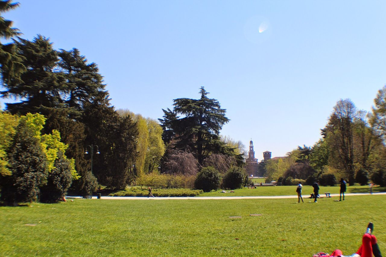 Aree cani del Parco Sempione a Milano