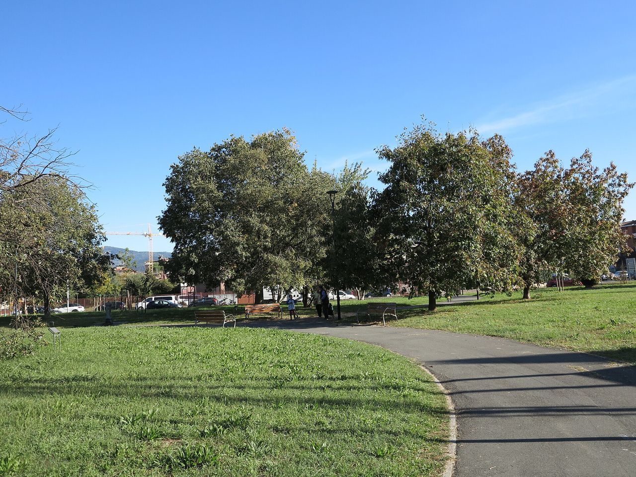 Area Cani Via del Mezzetta a Firenze
