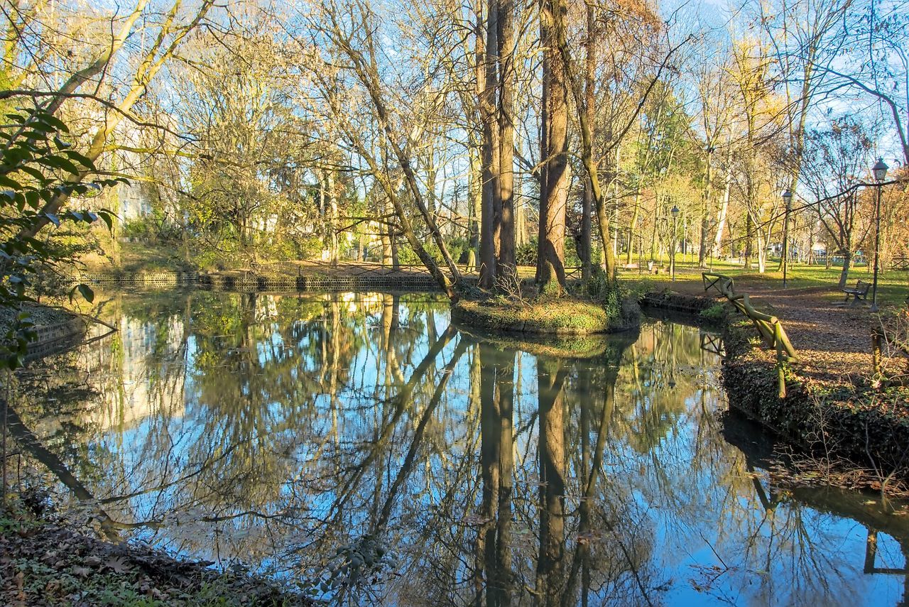 Area cani – Via Michelangelo Buonarroti, 30- a Cernusco sul Naviglio