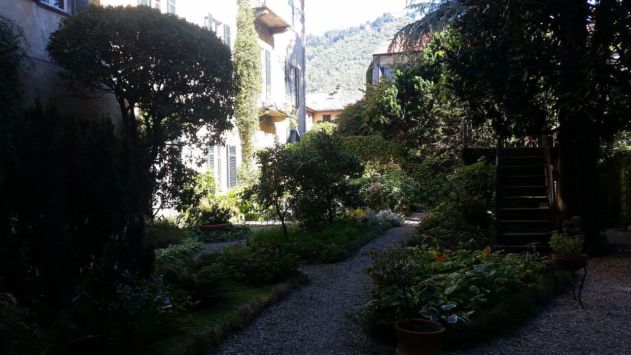 Area cani – Viale Varese a Como