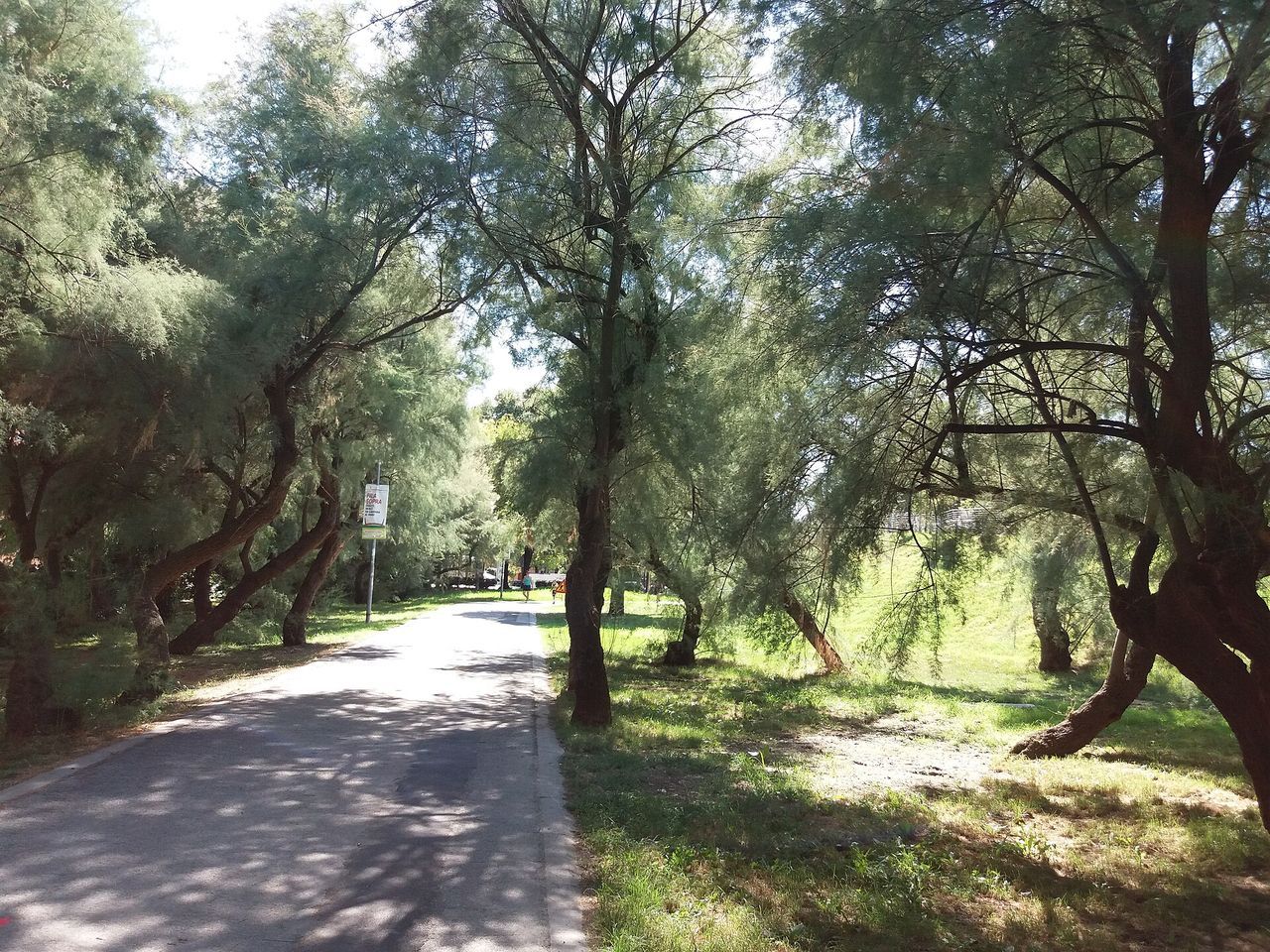 Fidopark a Rimini